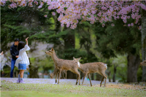 西埼玉　坂田さん